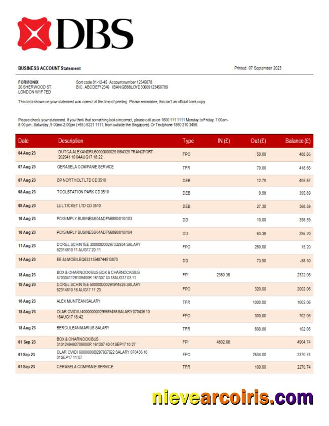 DBS Bank organization checking account statement